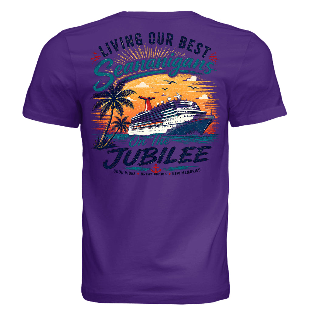 Solid Team Purple Triblend - 3413C - BACK